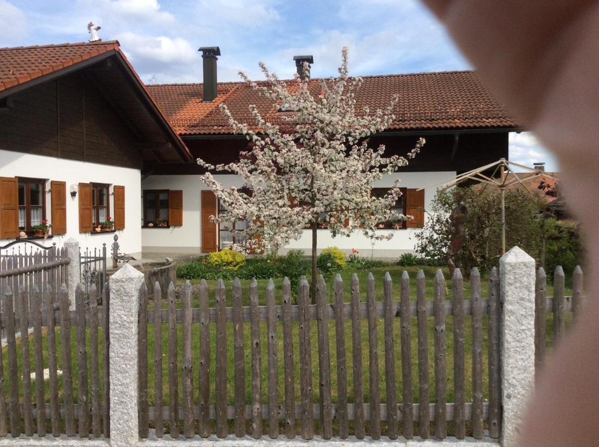 Ferienwohnung Hoermann Langdorf  エクステリア 写真